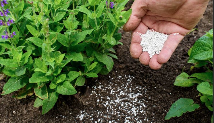 Fertilizer