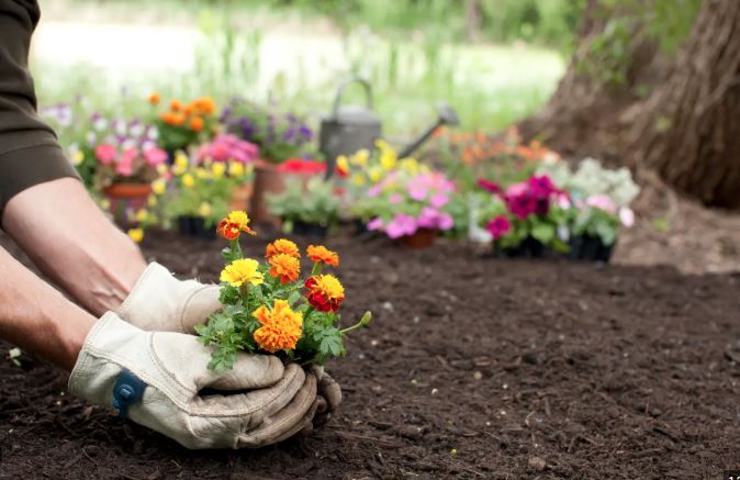 Gardening 2