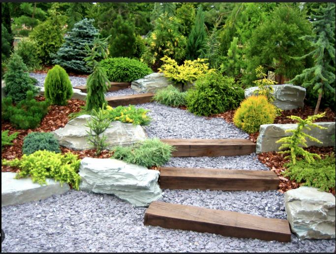Landscape Project 2