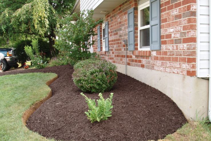 Mulch