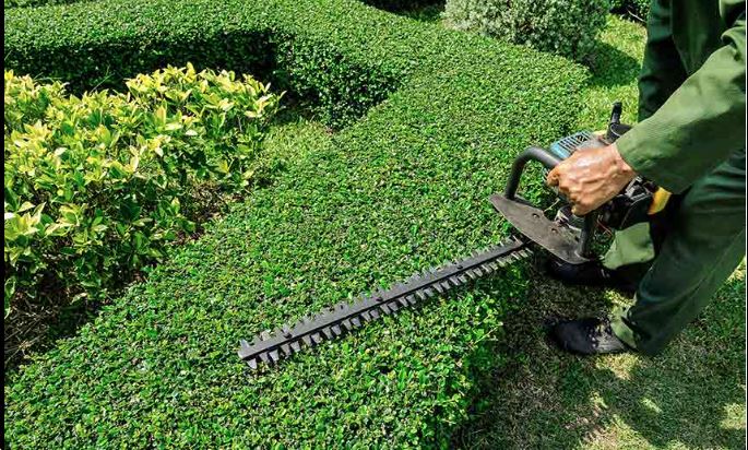 Trimming